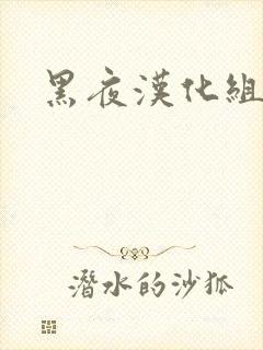 黑夜汉化组