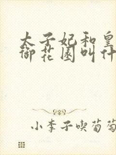 太子妃和皇帝在御花园叫什么小说