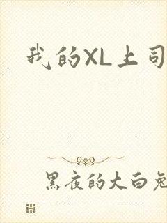我的XL上司