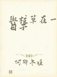 与校草在一起的日子