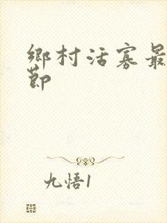 乡村活寡最新章节