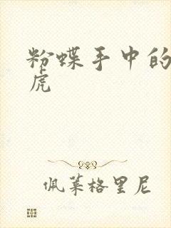 粉蝶手中的纸老虎