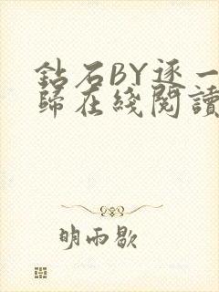 钻石BY逐一而归在线阅读