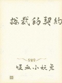 总裁的契约情人