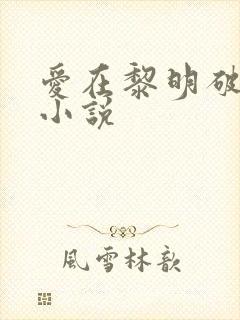 爱在黎明破晓前小说