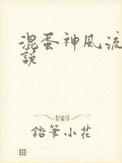 混蛋神风流史小说