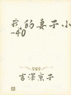 我的妻子小谨1-40