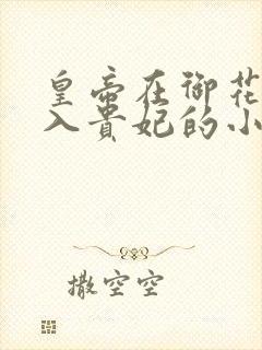 皇帝在御花园进入贵妃的小说