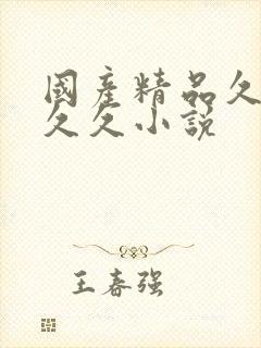 国产精品久久久久久小说