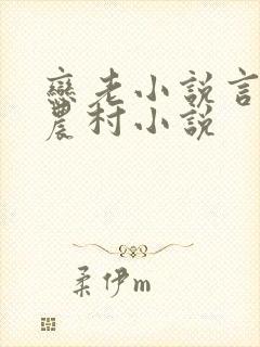 恋老小说言情网农村小说