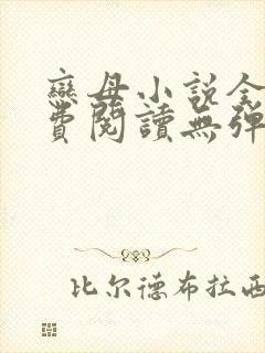 恋母小说全文免费阅读无弹窗笔趣阁