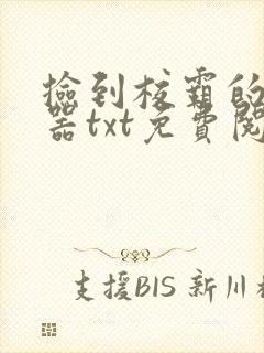 捡到校霸的遥控器txt免费阅读