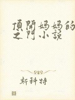 顶开妈妈的生命之门小说