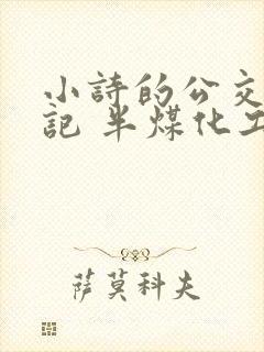 小诗的公交车日记 半煤化工