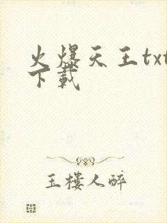 火爆天王txt下载