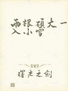 两根硕大一起挤入小雪