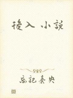 后入 小说
