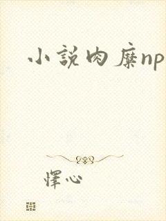 小说肉糜np