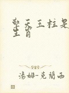 擎天玉柱是什么生肖