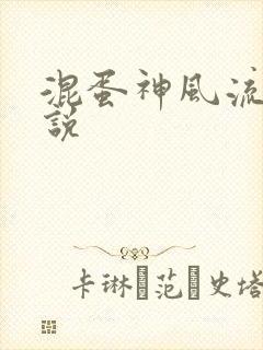 混蛋神风流史小说