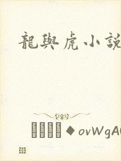 龙与虎小说
