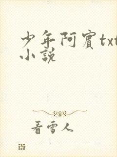 少年阿宾txt小说