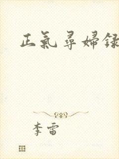 正气寻妇录