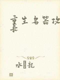 重生名器攻略兄长