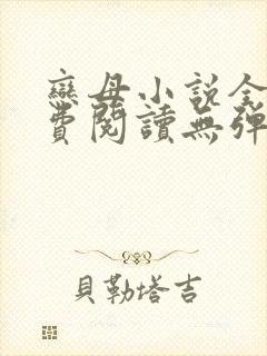 恋母小说全文免费阅读无弹窗笔趣阁