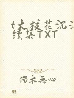 t大校花沉浮录续集TXT