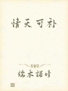 情天可补