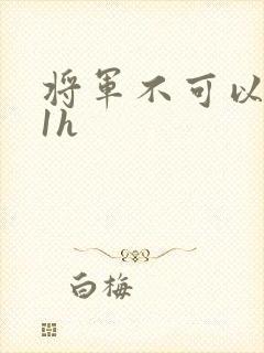 将军不可以1v1h