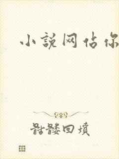 小说网站你懂的