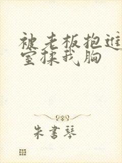 被老板抱进办公室揉我胸