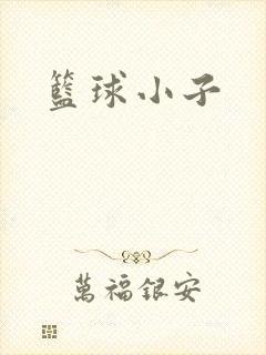 篮球小子
