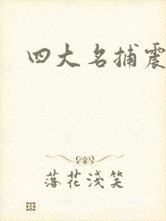 四大名捕震关东