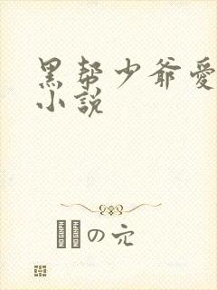 黑帮少爷爱上我小说