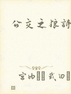 公交之狼诗晴