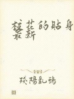 校花的贴身高手最新