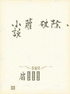 小萝 破除 小说