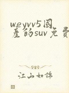 weyvv5国产的suv免费