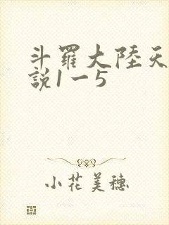 斗罗大陆天狂传说1一5