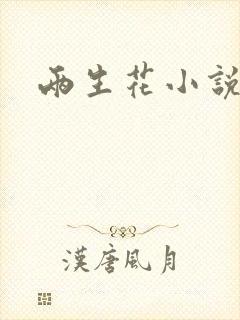 两生花小说