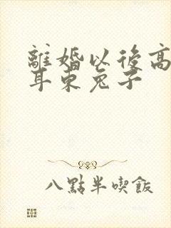 离婚以后高干 耳东兔子