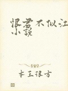 恨君不似江楼月小说