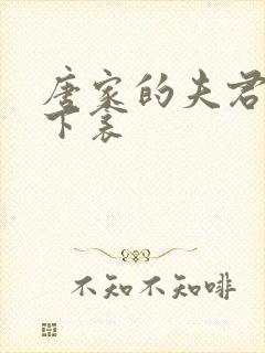 唐家的夫君们帘下衾