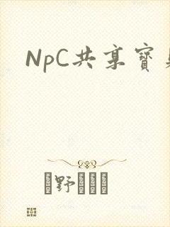 NpC共享宝贝