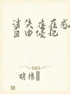 消失存在感消失自由侵犯