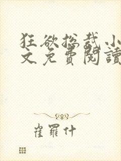 狂欲总裁小说全文免费阅读