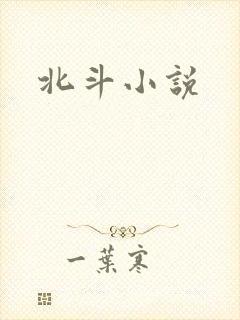 北斗小说